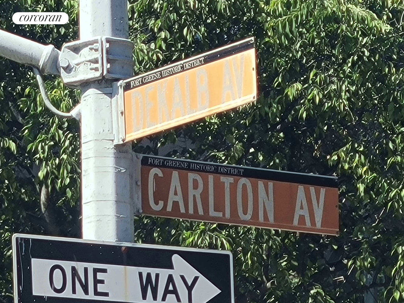 162 Carlton Avenue 2 Fort Greene Brooklyn NY 11205