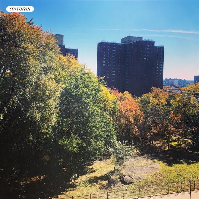 515 AVE 44, Manhattan, NY 10032 Property for sale