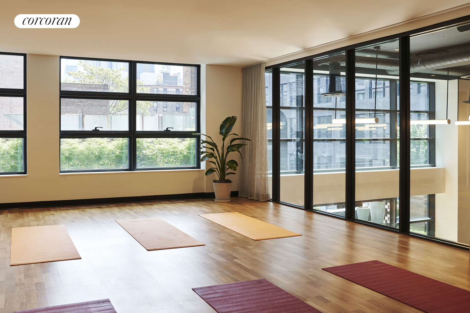 547 West 47th Street Clinton New York NY 10036
