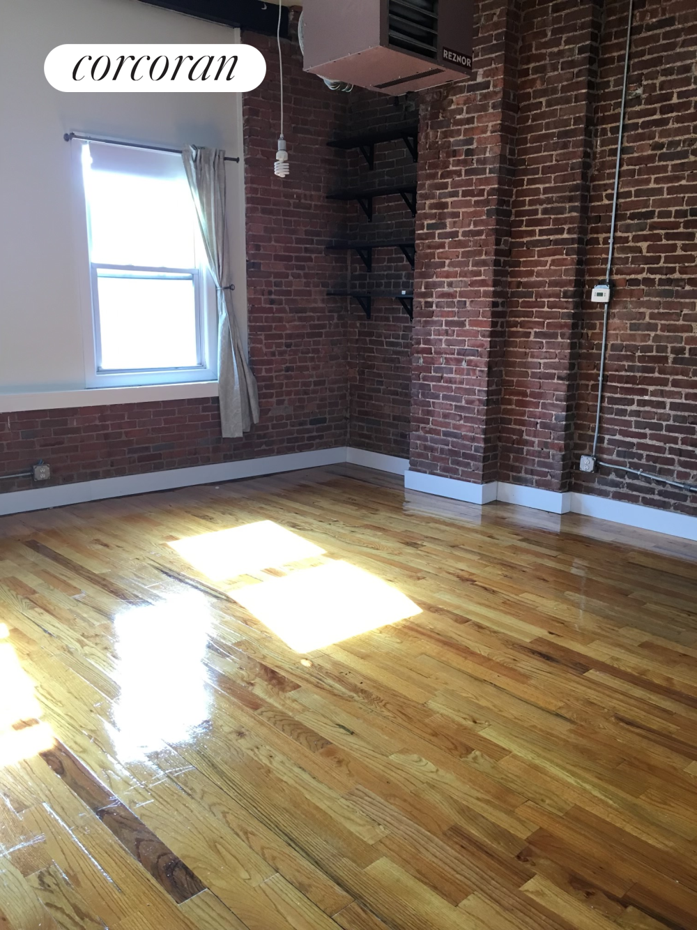 243 Saint Marks Avenue Prospect Heights Brooklyn NY 11238