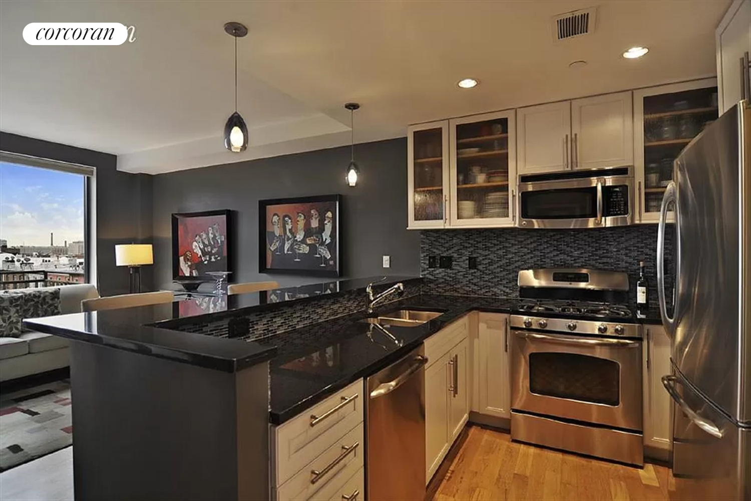 155 15th Street 4E Park Slope Brooklyn NY 11215