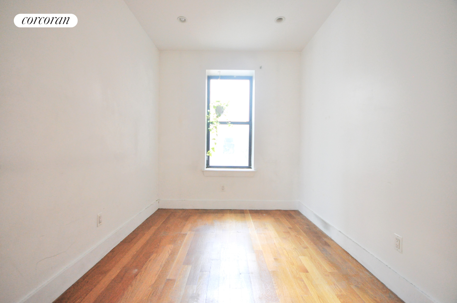 269 Kosciuszko Street, #3R