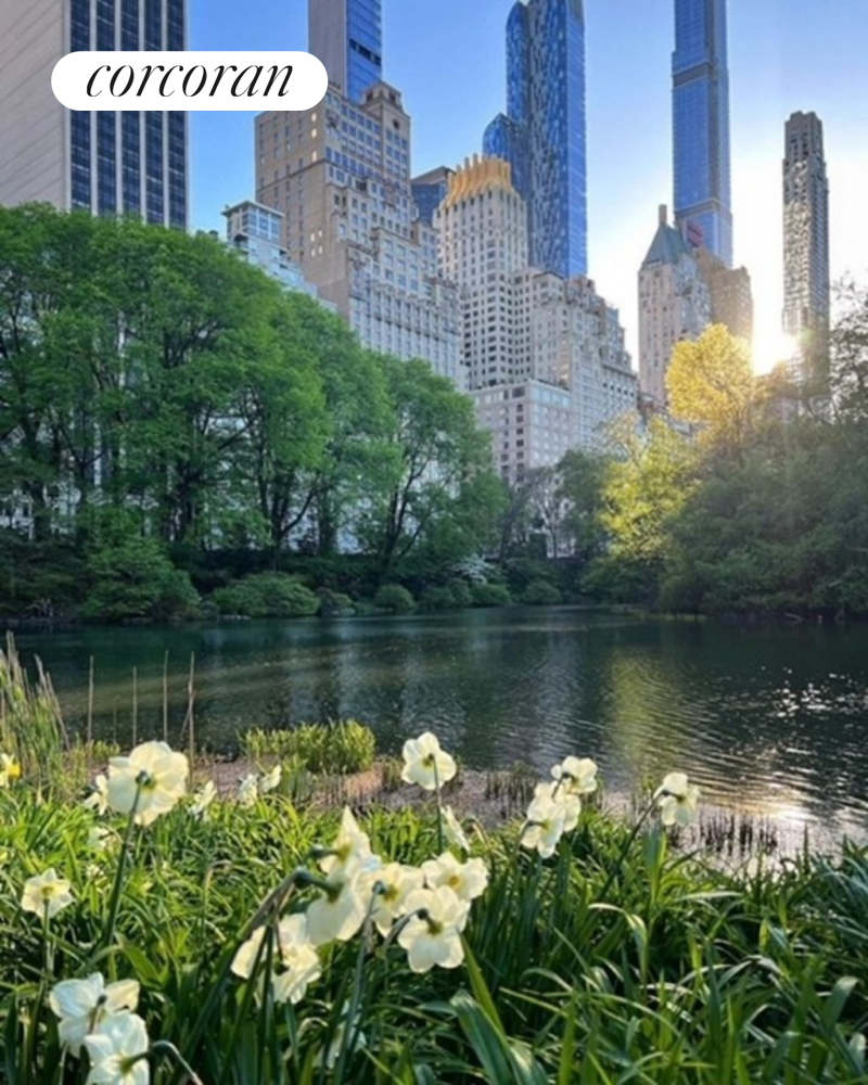 117 West 58th Street Midtown West New York NY 10019
