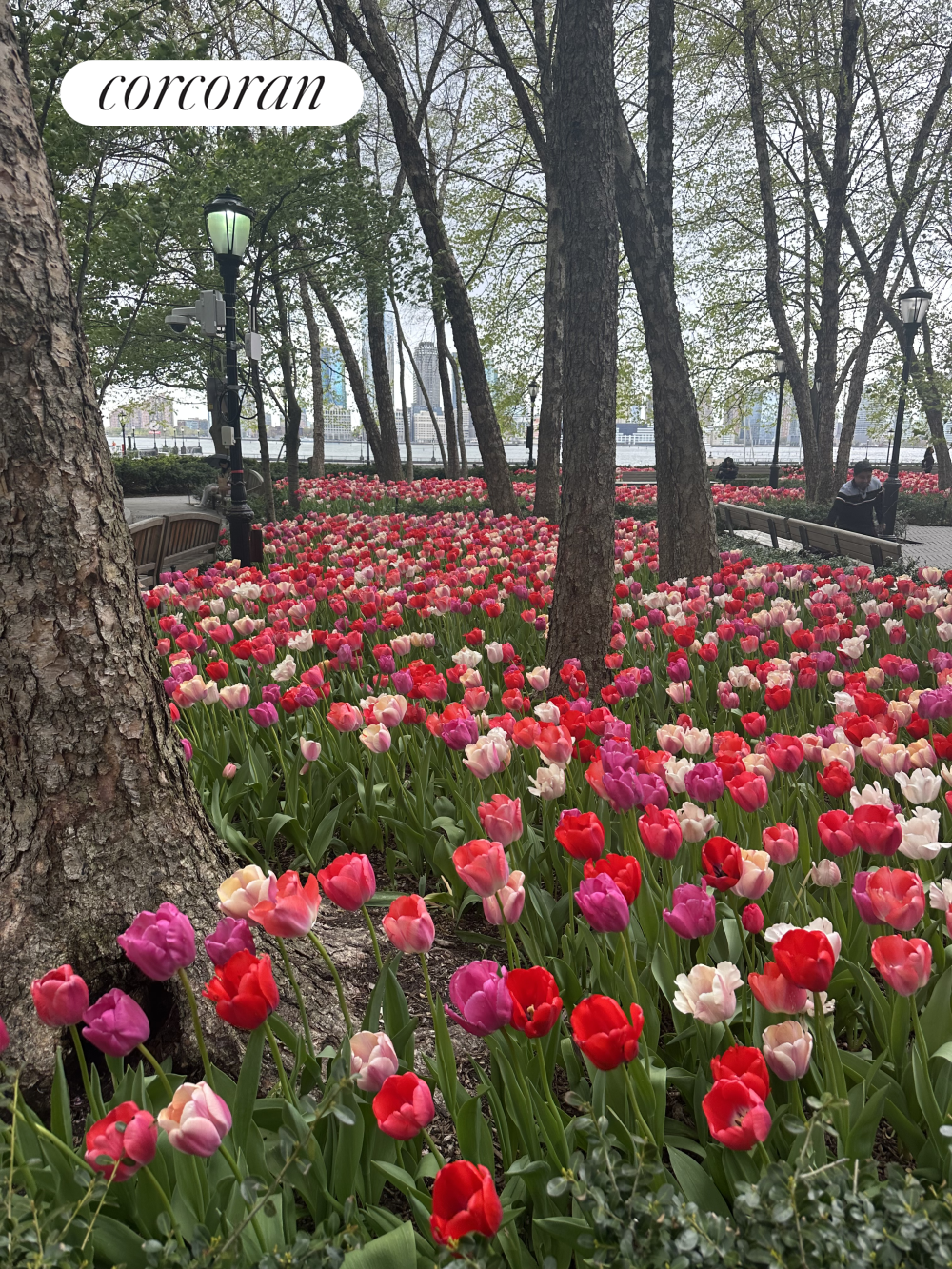 250 South End Avenue Battery Park City New York NY 10280