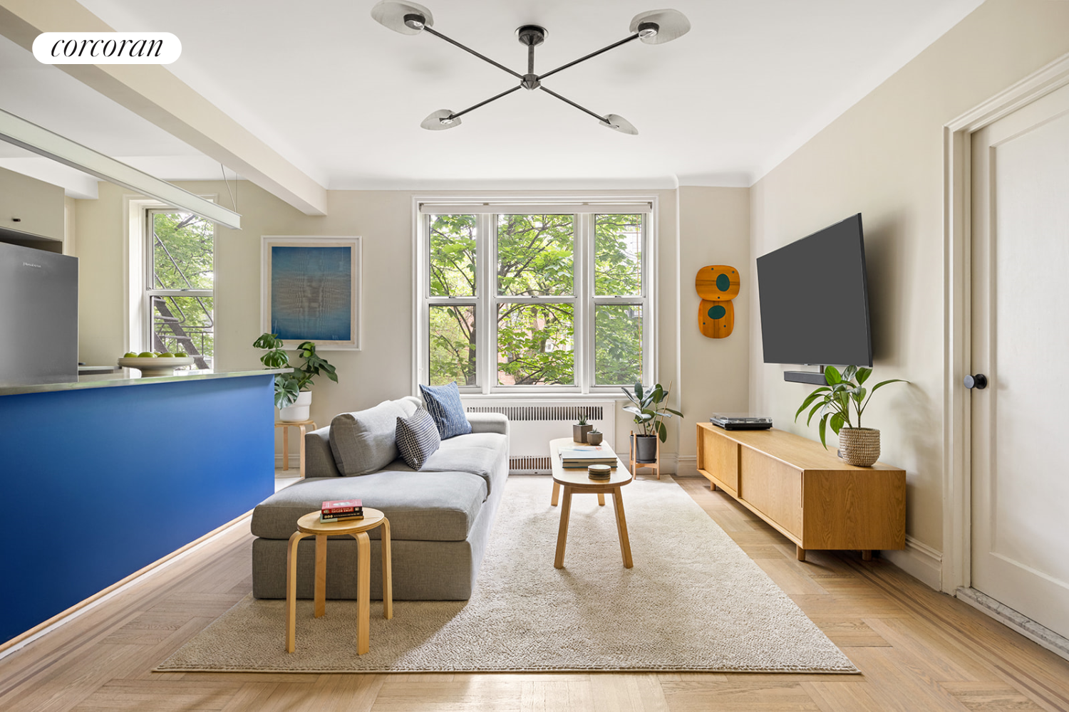 225 Park Place Prospect Heights Brooklyn NY 11238