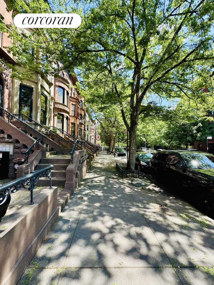 57 Halsey Street Bedford Stuyvesant Brooklyn NY 11216
