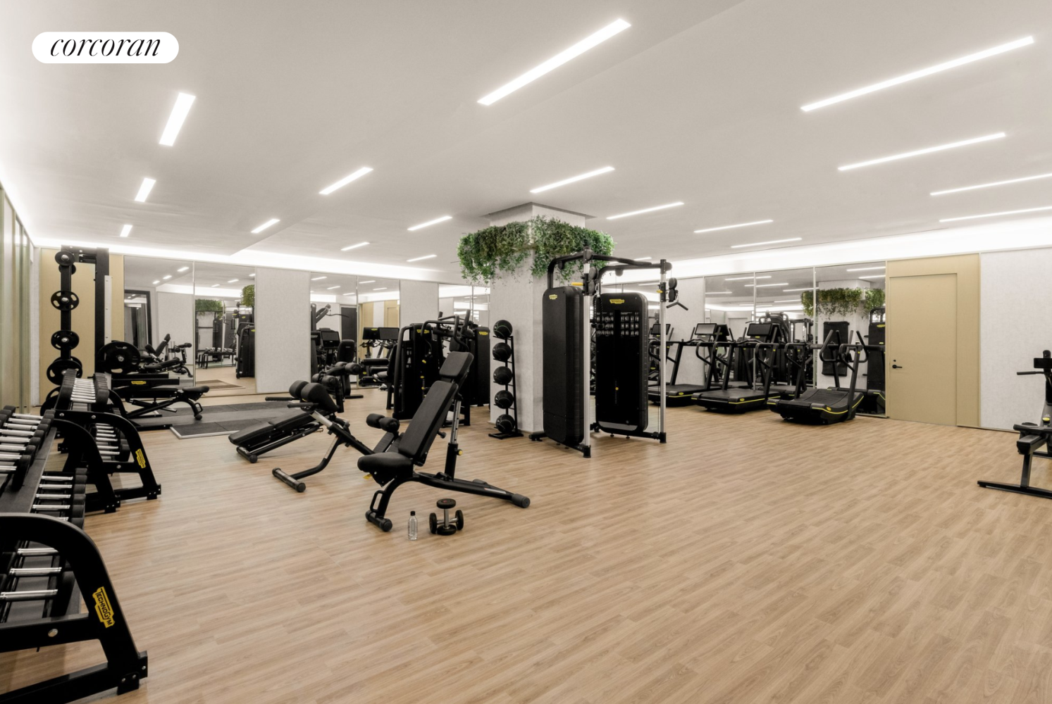 215 West 28th Street 4B Chelsea New York NY 10001