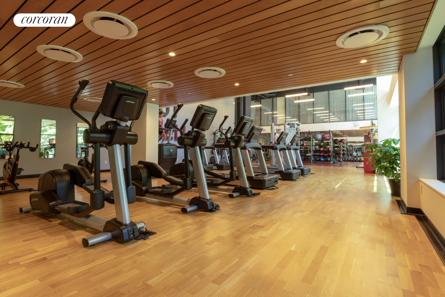 547 West 47th Street Clinton New York NY 10036