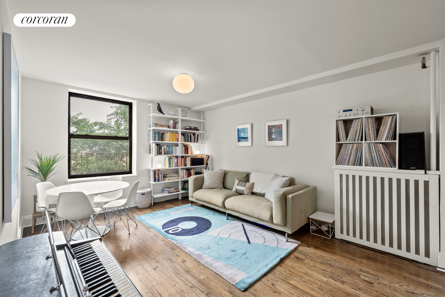 254 Park Place Prospect Heights Brooklyn NY 11238