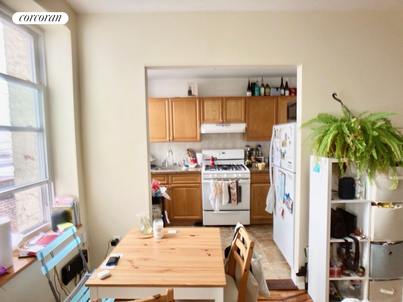 259 13th Street Park Slope Brooklyn NY 11215