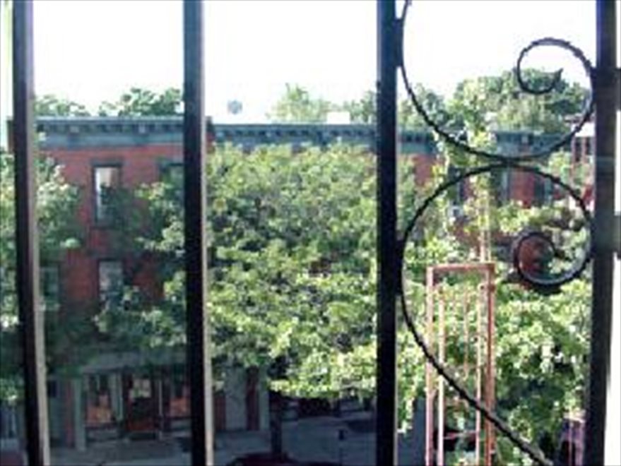 New York City Real Estate | View 214 Flatbush Avenue, 3 | room 8 | View 9