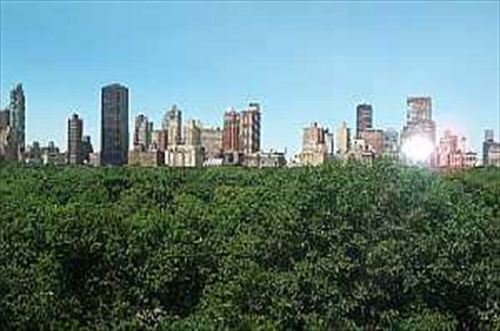 New York City Real Estate | View West 86th Street | 3 Beds, 2 Baths | View 1