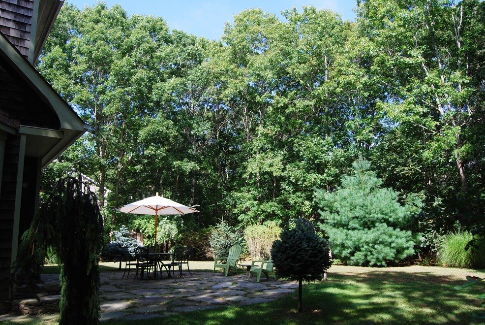New York City Real Estate | View  | Green Canopy of Trees Ensures Privacy | View 12