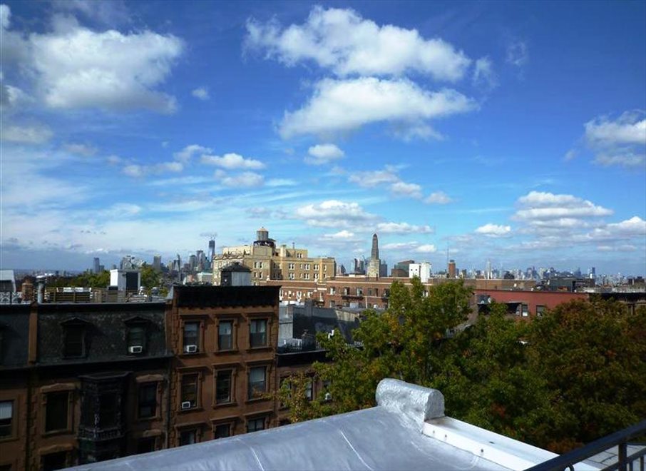 New York City Real Estate | View 45 8Th Avenue, 5F | panoramic view from the roof | View 11