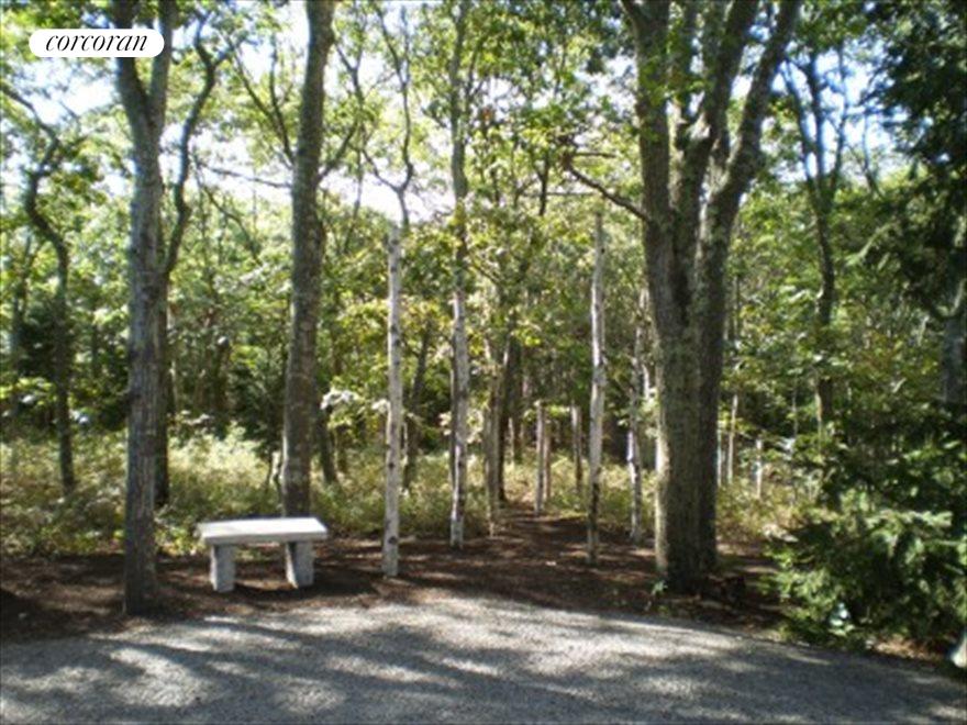 New York City Real Estate | View  | woodland walkway | View 18