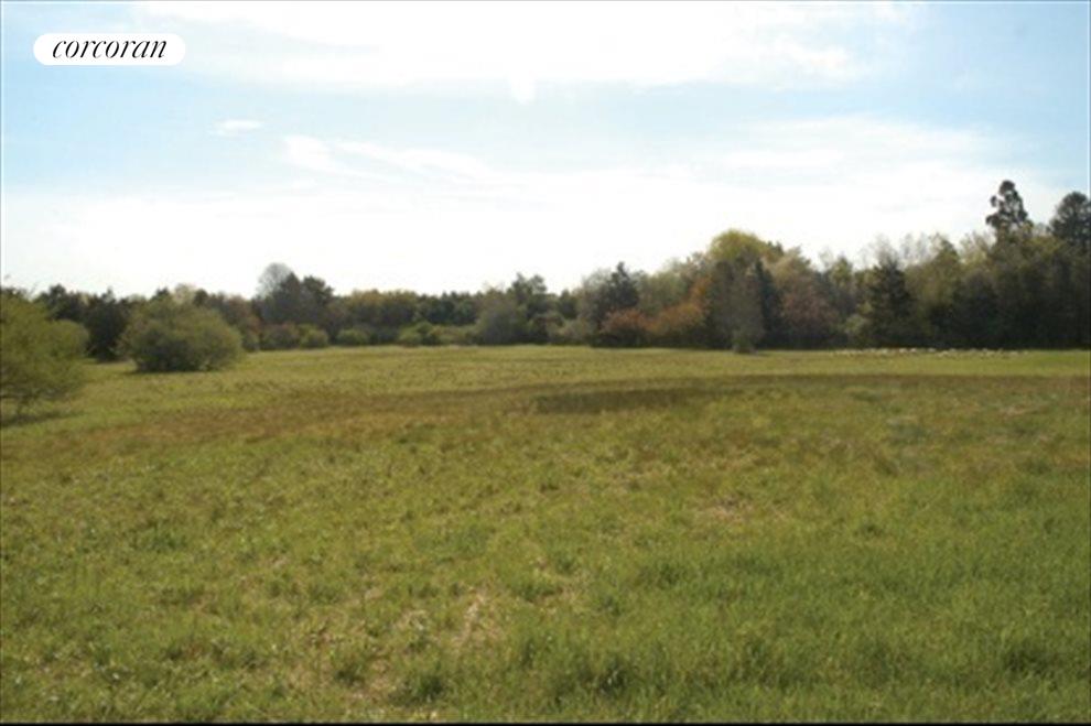 New York City Real Estate | View  | open fields | View 4