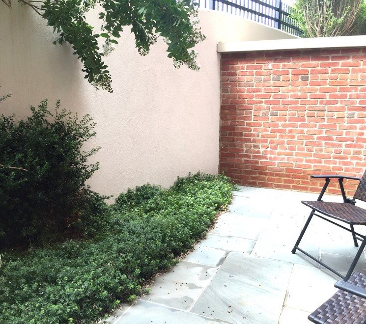 New York City Real Estate | View  | Private Garden for Duplex G-112 | View 11