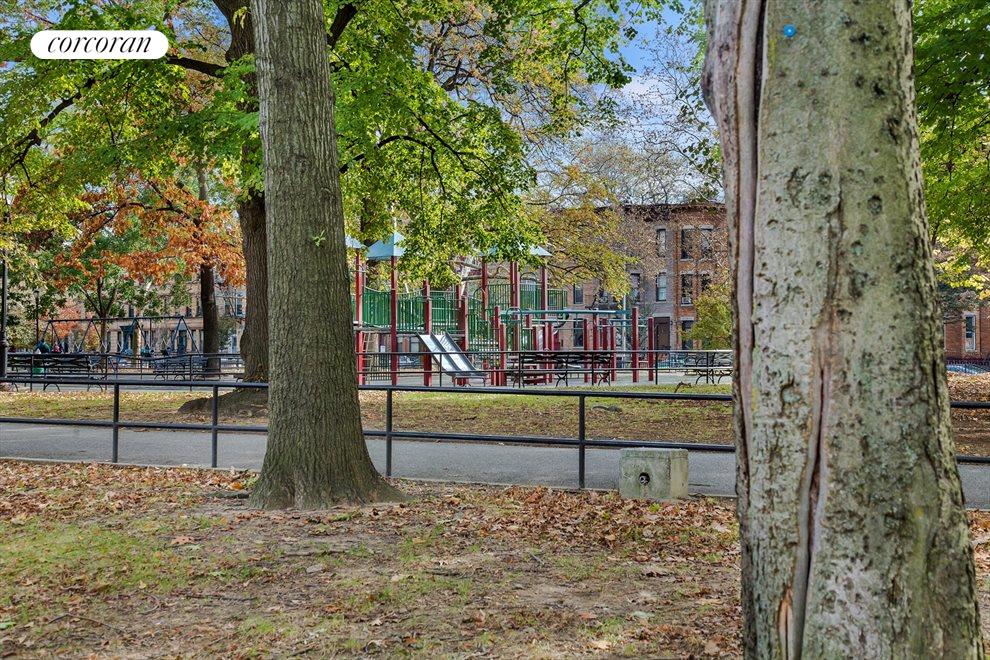 809 Halsey Street, Brooklyn, NY 11233 Property for sale