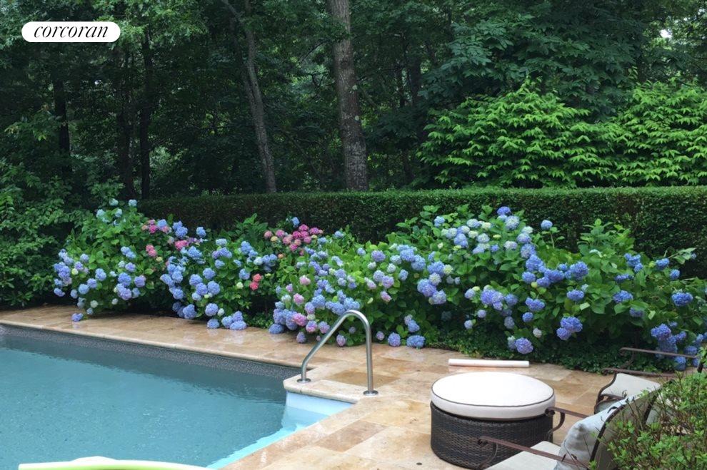 New York City Real Estate | View 36 Hampton Place | Landscaping around the pool | View 4